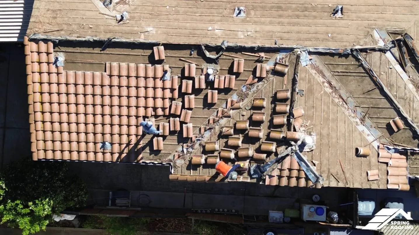 Roof Replacement — 5421 Francesca St (1)