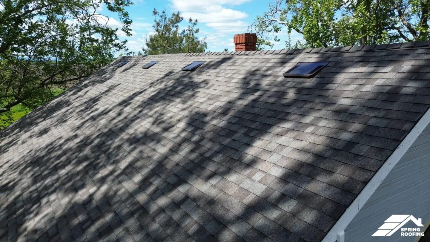 Roof Restoration — 4871 Ryer Rd (13)