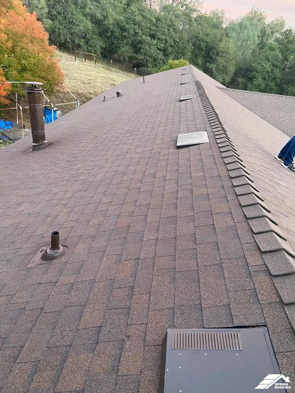 Roof Installation — Shingle Roof (2)