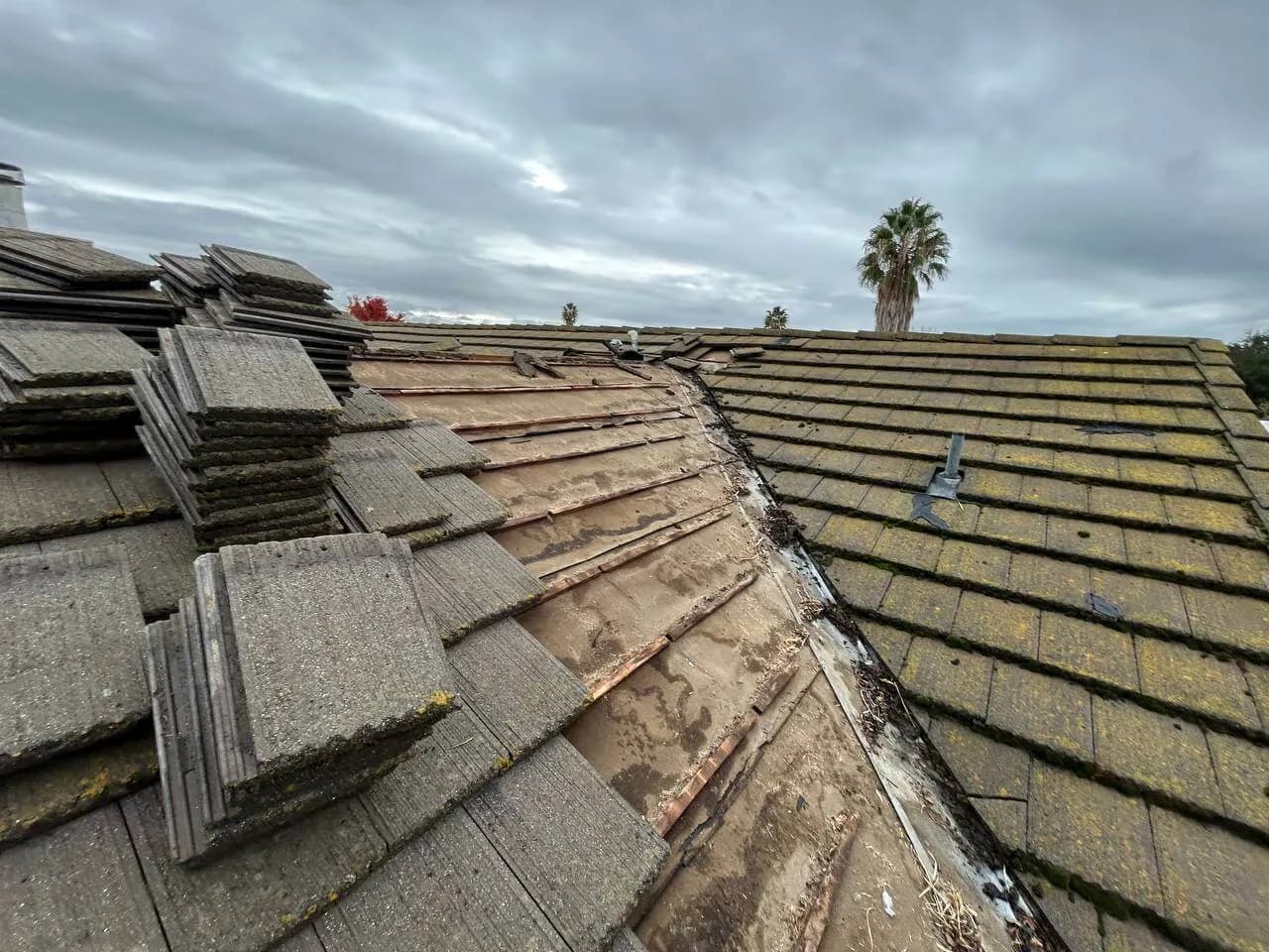 Roof Repair — 1207 Xandria Dr. Sacramento (1)