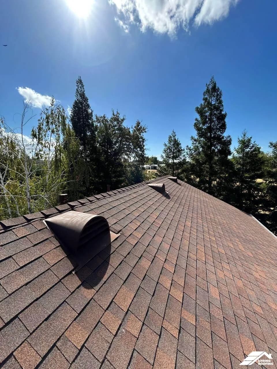 Roof Repair — 7380 Ridge Rd Newcastle (13)