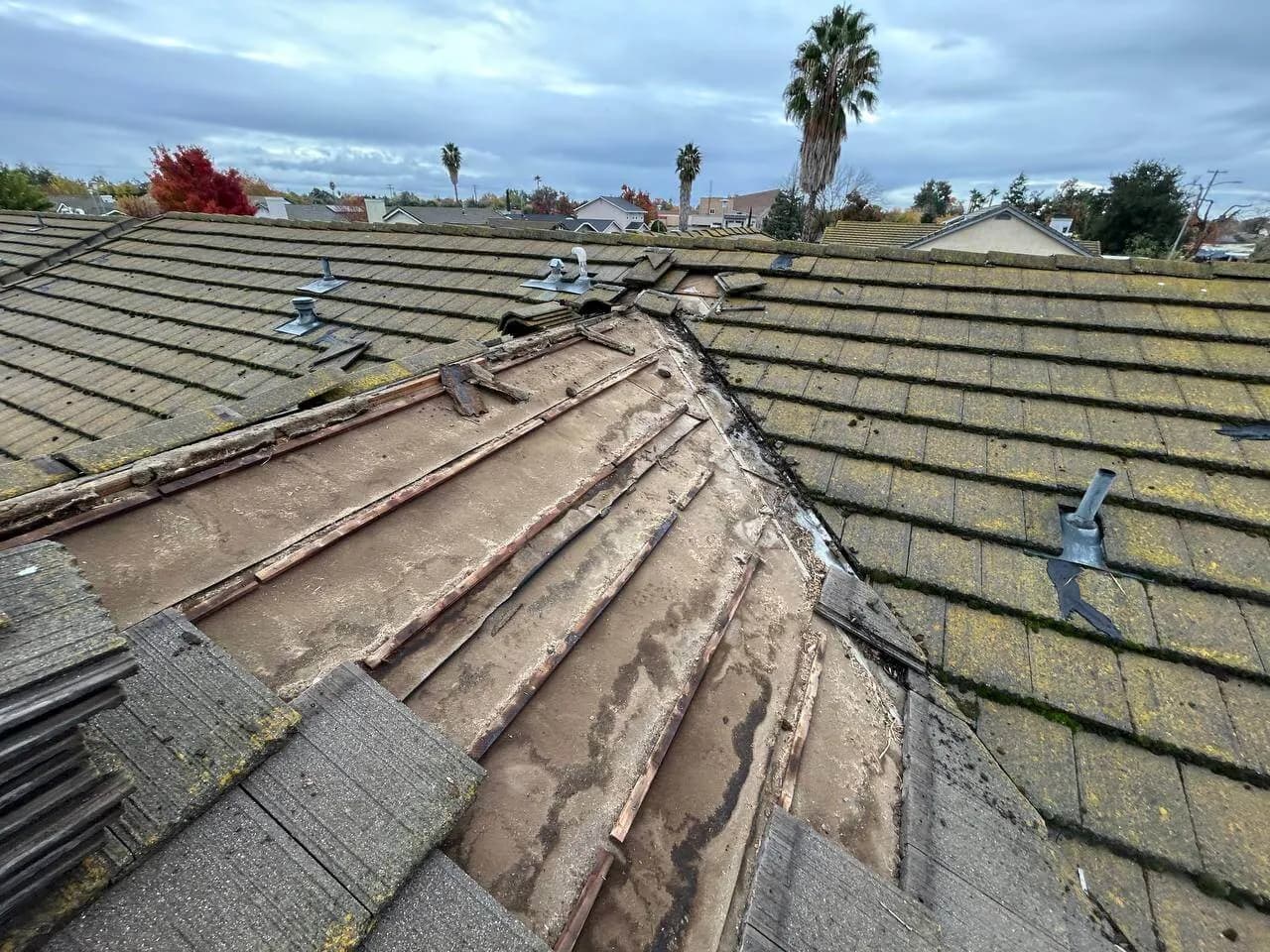 Roof Repair — 1207 Xandria Dr. Sacramento